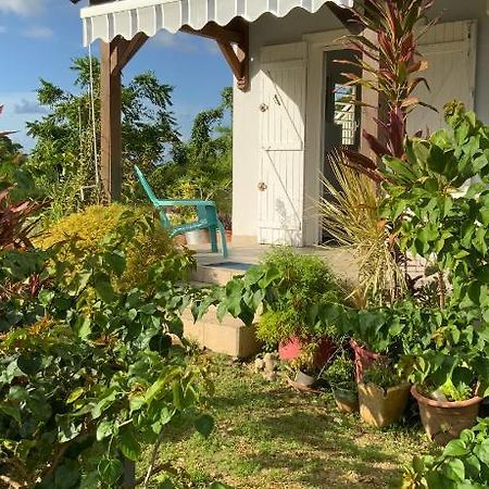 Villa L'Exotik Les Abymes Exterior foto